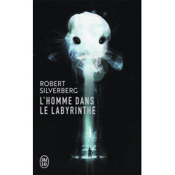 L'homme dans le labyrinthe