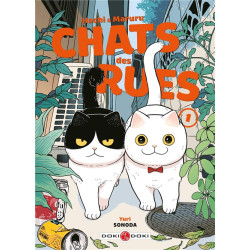 Hachi & Maruru : chats des...