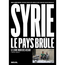 Syrie , le pays brûlé...