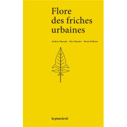 Flore des friches urbaines