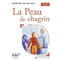 La peau de chagrin : bac 2023